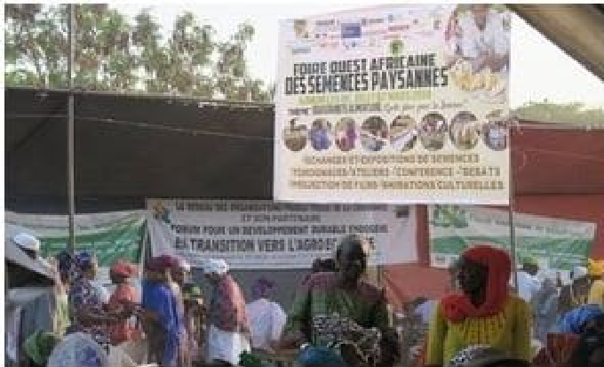 Promotion de l’agro-écologie en Afrique de l’Ouest : Djimini ou le refus d’un néocolonialisme par le biais de la semence