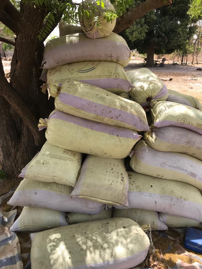 L'Armée frappe encore au coeur la faction Mfdc de Paul Bassène : Une hallucinante saisie de yamba opérée (photos)