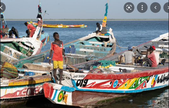 Fatick : L’Etat invité à doter le débarcadère de Djiffer, d’un quai de pêche aux normes