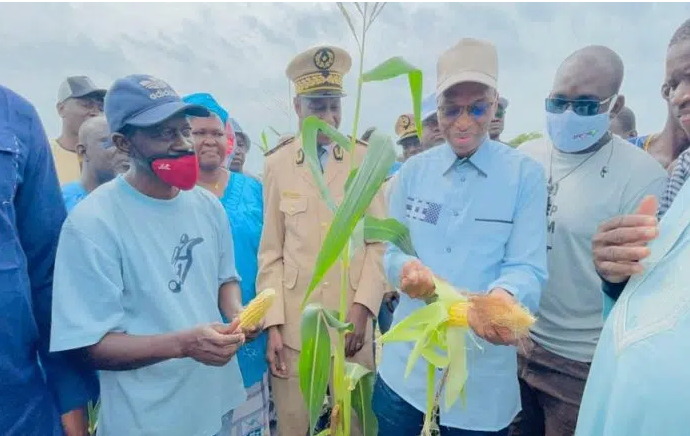 Développement de l’agriculture: Moussa Baldé annonce la construction de 1000 nouvelles fermes agricoles