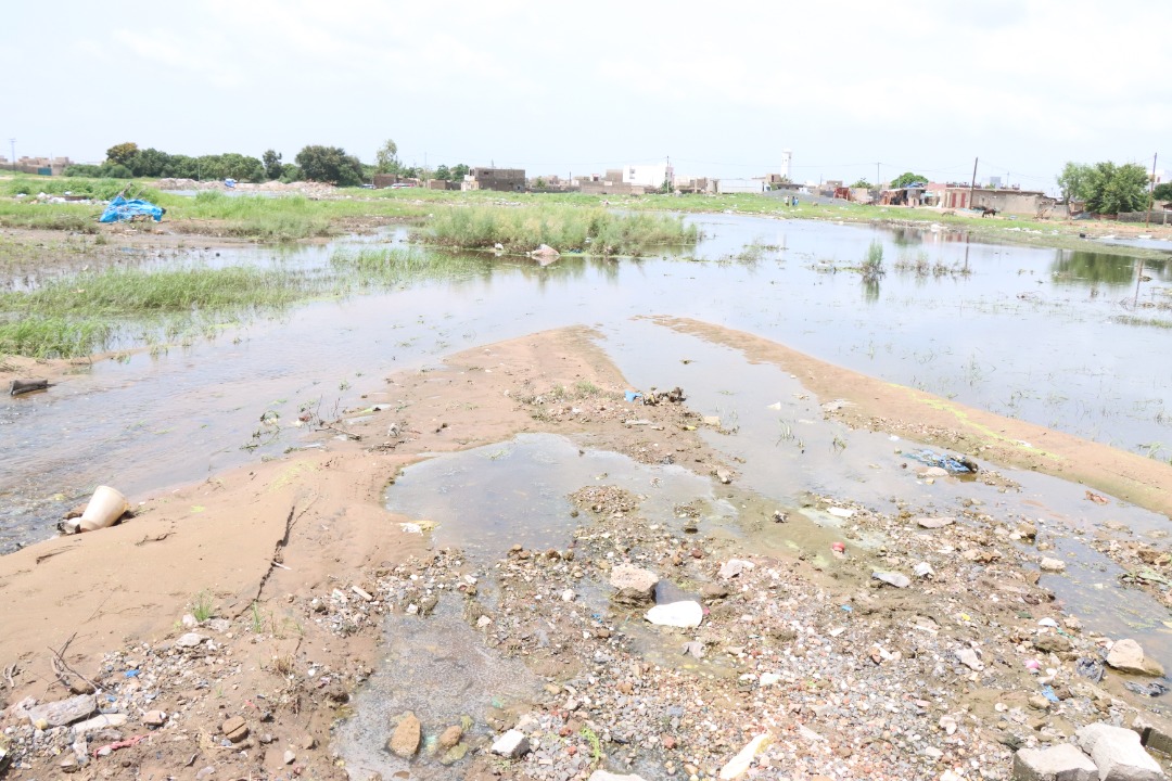 Inondations à Sangalkam:  Le ministre Oumar Gueye en visite de terrain préconise des solutions urgentes
