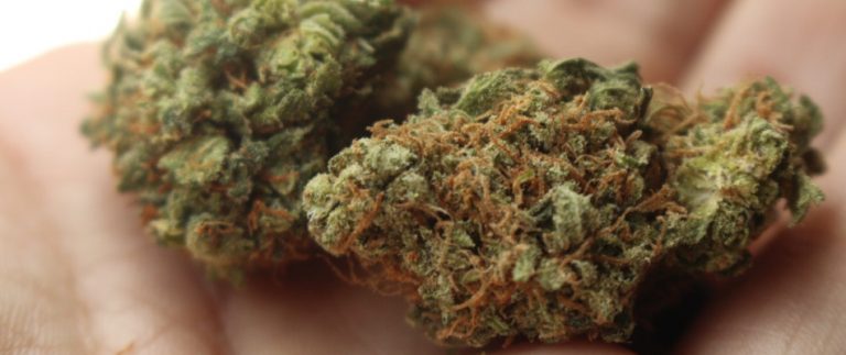 Trafic de drogue: Les époux Camara arrêtés avec cinq kilos de cannabis à Thiénaba