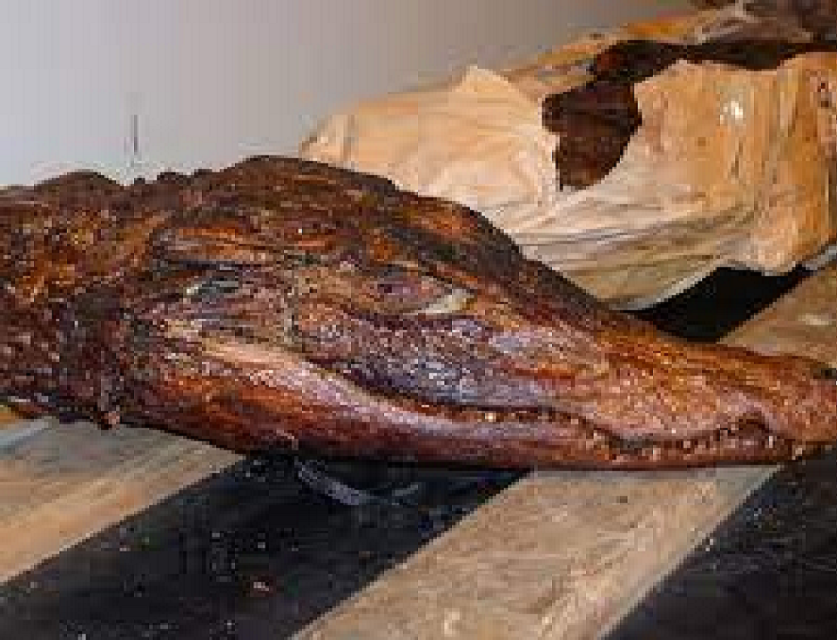 Opération de la Direction des Parcs nationaux de Tambacounda : Saisie de viande de crocodile et de peaux de léopard