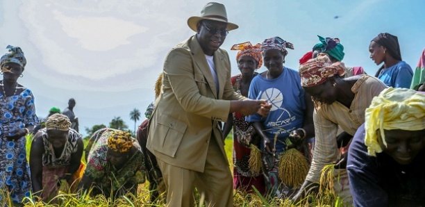 PAP2A et Souveraineté alimentaire (Par Djibril Guèye)