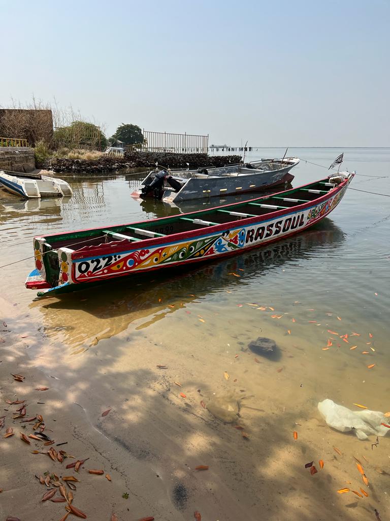 Foundiougne : 507 kilos de yamba saisis par la Douane