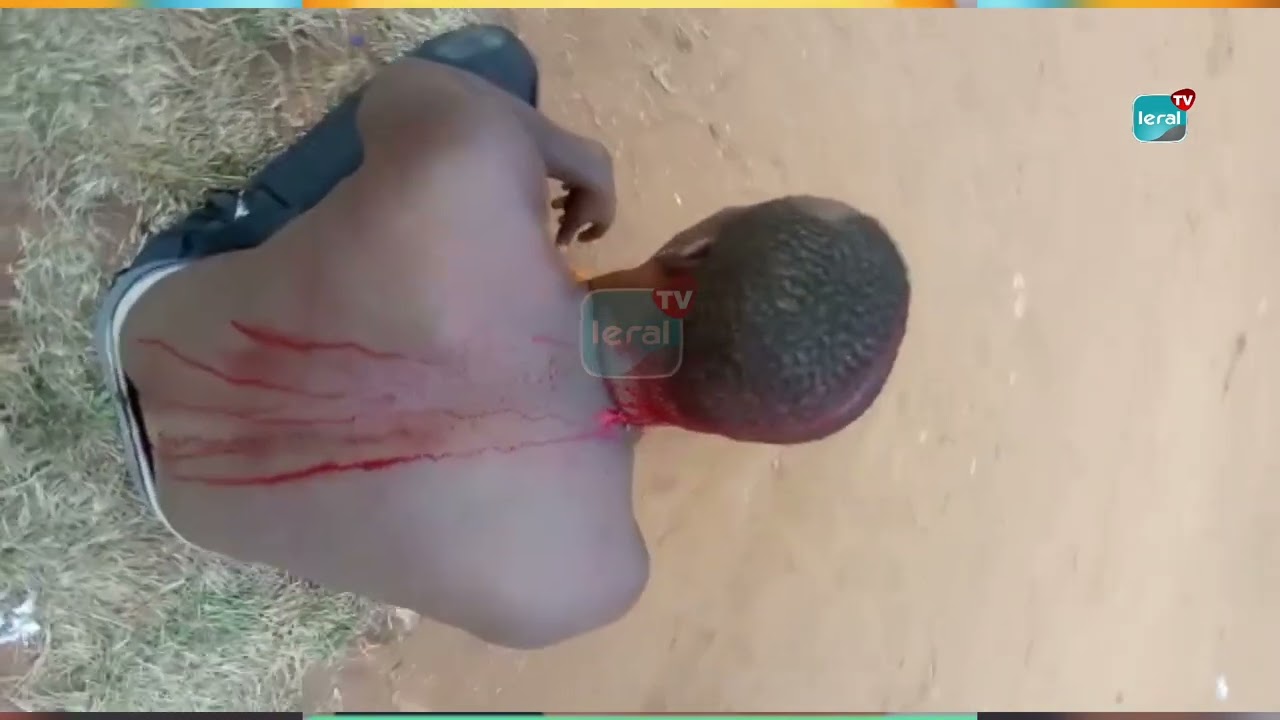 Incidents de Tchiky : Cinq gardes du corps de Ousmane Sonko arrêtés au tribunal de Dakar et transférés à Mbour