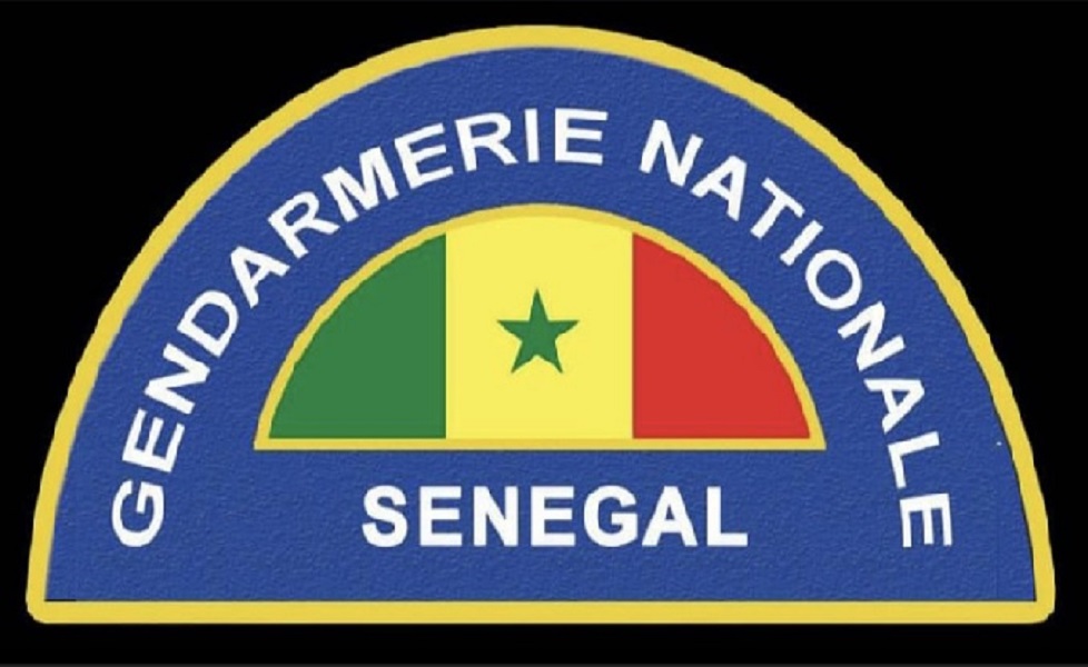 Trafic de drogue : La Gendarmerie de Faidherbe interpelle trois individus