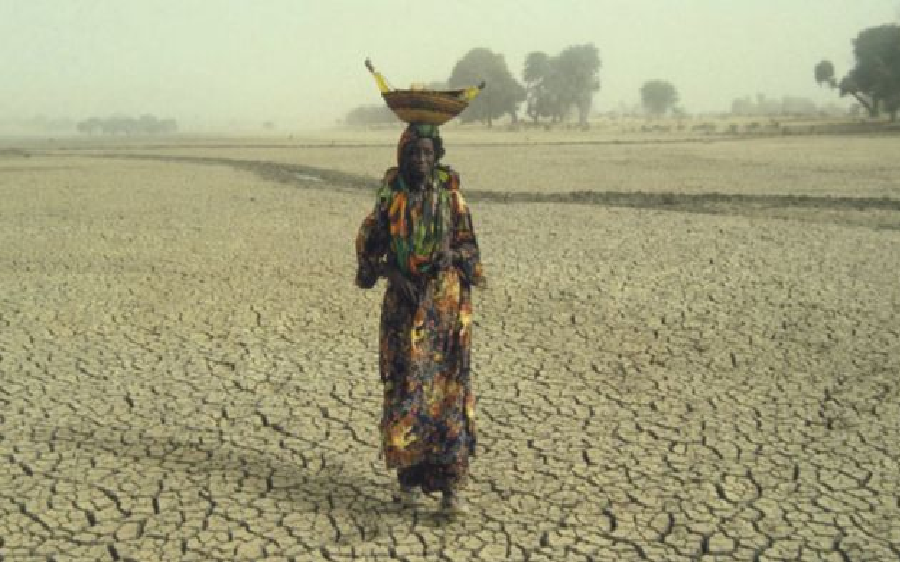 Kaolack - Lutte contre la sécheresse dans le Sahel, Guinguinéo, Gossas et Mbirkilane choisies comme zones pilotes