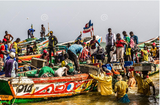 Saint-Louis / Sécurité en mer et techniques de géolocalisation : Des capitaines de pirogues outillés