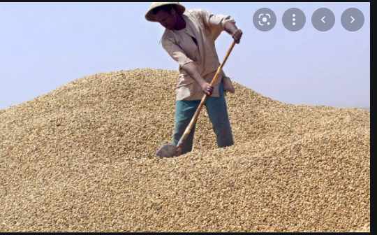 Des travailleurs de la Sonacos demandent ‘’l'arrêt immédiat’’ des exportations de graines d'arachide
