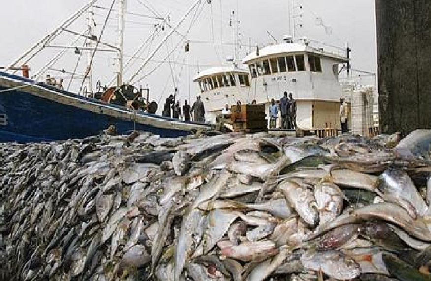Coopération : Le Sénégal et le Libéria s’associent pour renforcer la lutte contre la pêche illégale