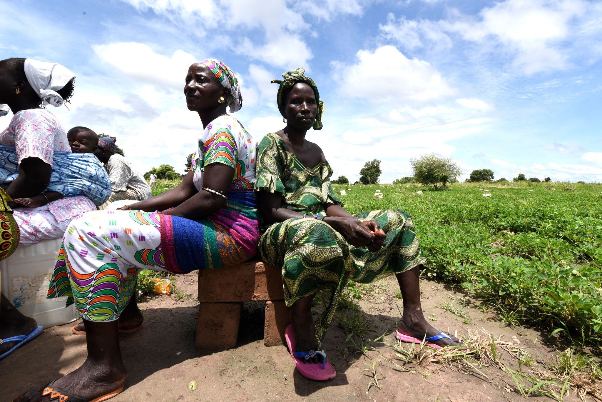 Pauvreté dans le monde rural : Les jeunes du village de Daga Birame réclament de meilleures conditions de vie