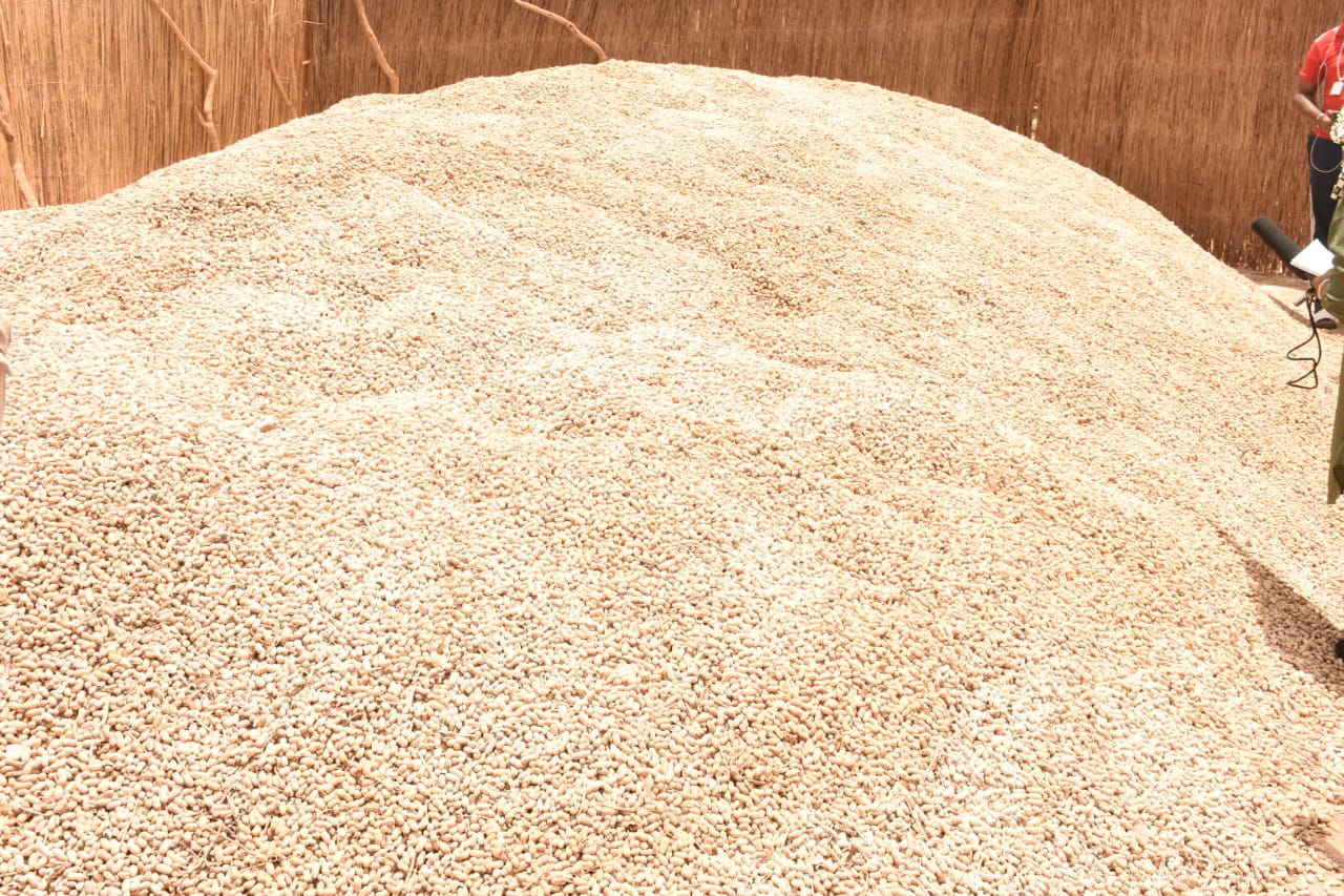 Tournée agricole d’avant l’hivernage à Tambacounda et Kolda: Aly Ngouille Ndiaye visite les dispositifs de la campagne agricole