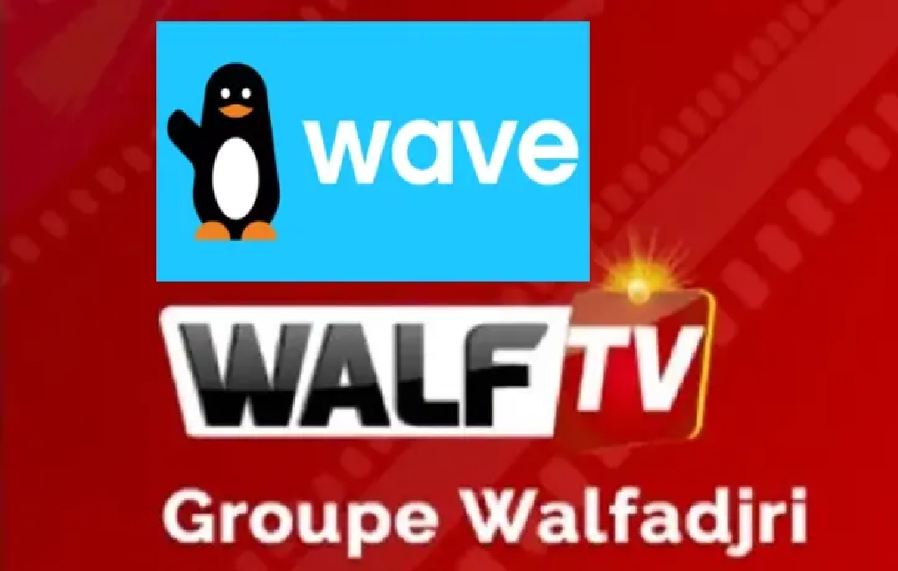 Son personnel Tv au chômage technique : L’Etat freine l’élan de solidarité via Wave destiné à la Fondation Walfadjri