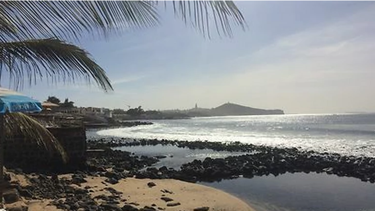 Présence en zone maritime d’une micro-algue toxique aux Almadies