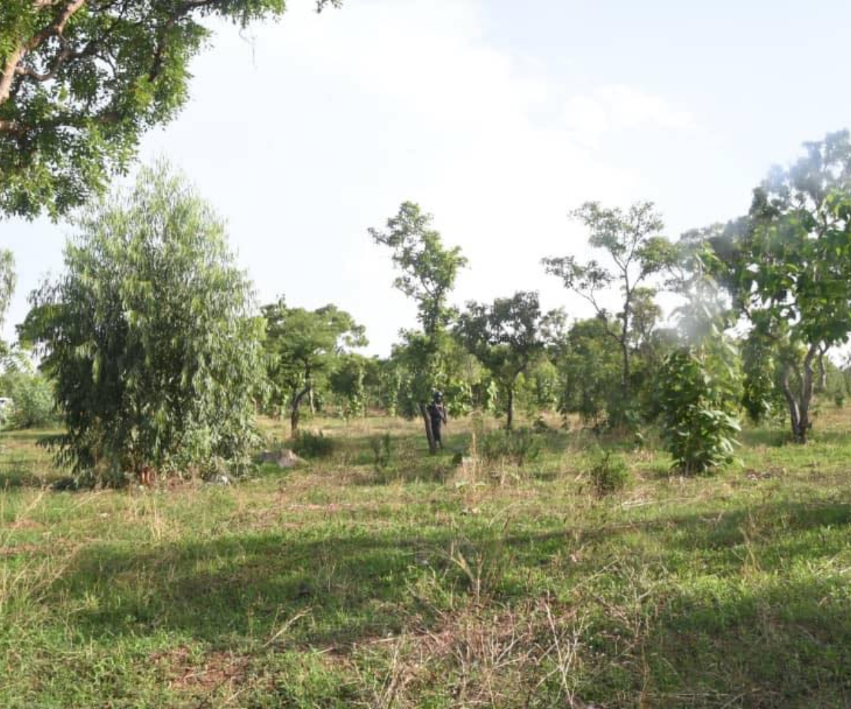 Forêt classée de Thiès: Risques d’affrontements entre éleveurs et promoteurs privés