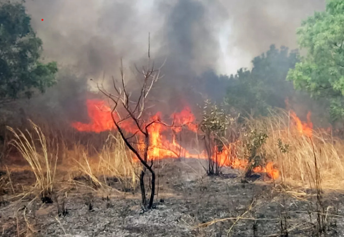Boyinadji : Un feu de brousse ravage une importante surface de tapis herbacé
