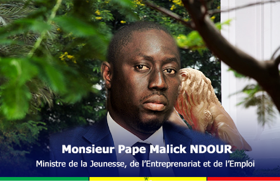 Lettre ouverte au ministre de la Jeunesse, de l'Entrepreneuriat et de l'Emploi du Sénégal, monsieur Pape Malick Ndour – ONG ADHA