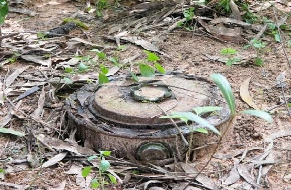 Mort de quatre braves soldats - Les condoléances de Karim Wade : La paix définitive en Casamance, un de ses chantiers prioritaires, au soir du 25 février 2024