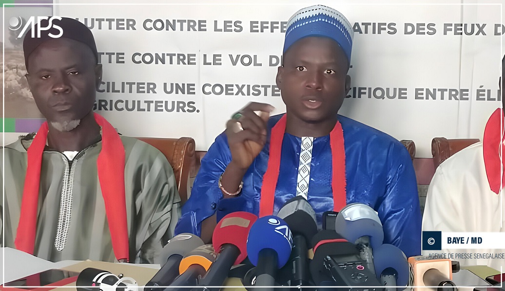 Kaolack : Des agriculteurs réclament la dissolution du Comité national interprofessionnel de l’arachide