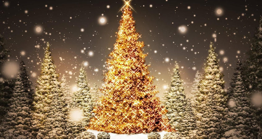 Arbre de noël:  Halte à l’inégalité en milieu scolaire !