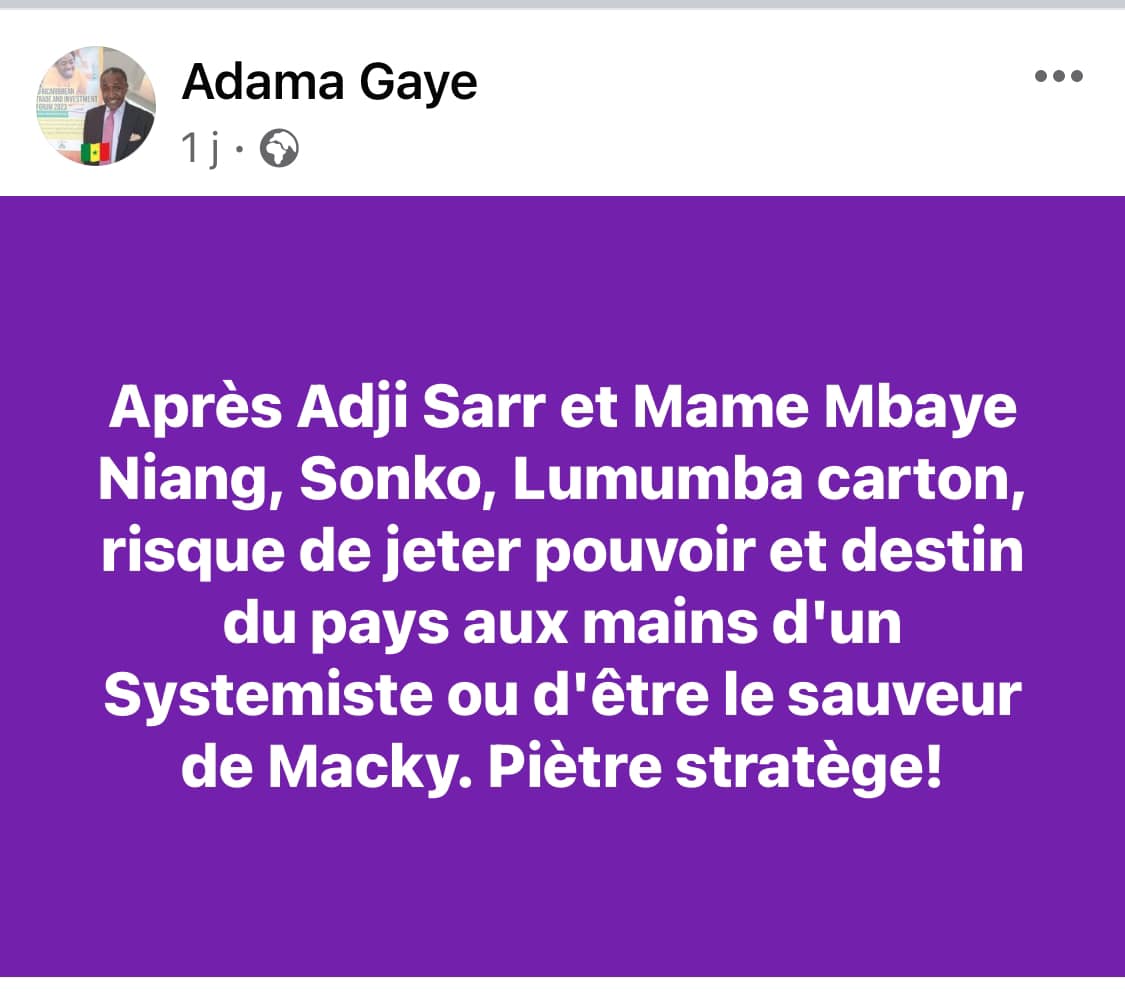 Adama Gaye corrige Ousmane Sonko : « Il n’est qu’un petit tyran qui s’ignore » 