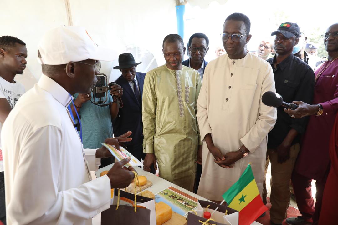 Photos/ Élevage: Amadou Ba, Premier Ministre lors de la réception des 1300 génisses gestantes à haut potentiel de laitier
