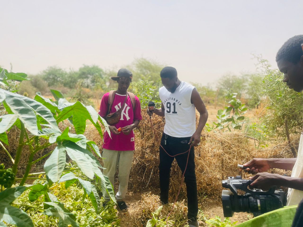 Photos+Video / Les terres du Walo de Kanel, une des solutions pour la souveraineté alimentaire