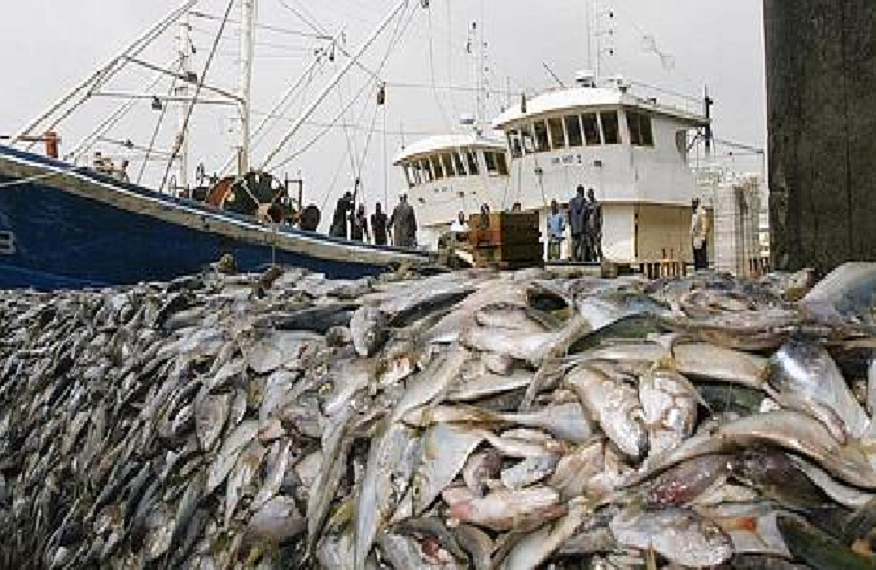 La liste divulguée : 132 navires nationaux et 19 navires étrangers pêchent dans les eaux sénégalaises