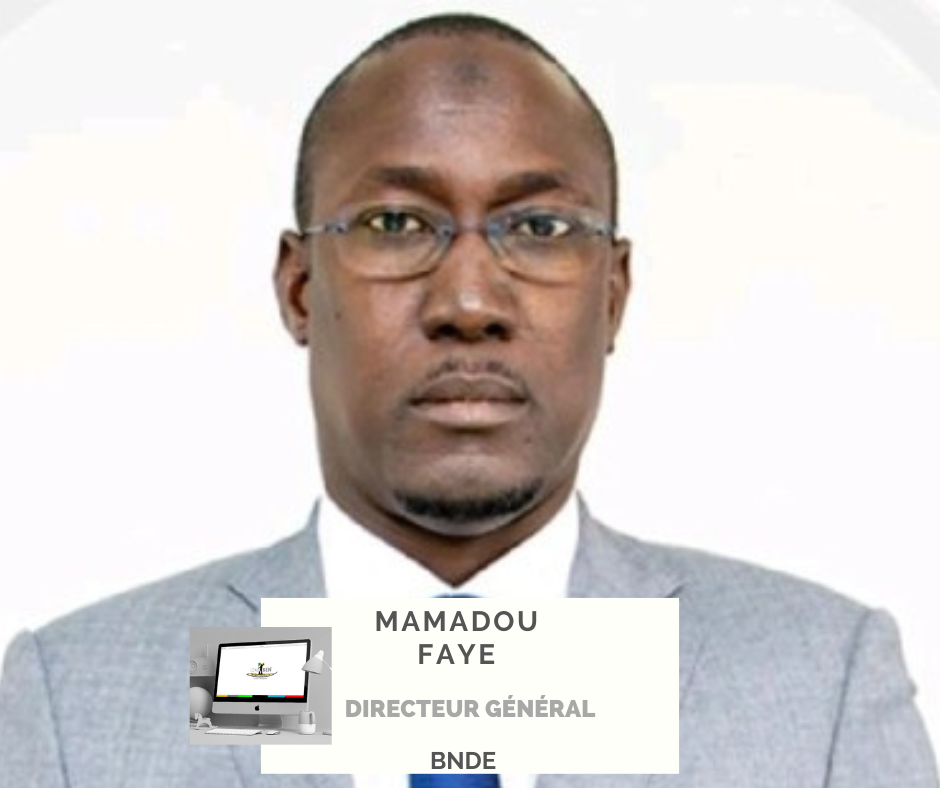 Mamadou Faye, nouveau DG de la  BNDE, Portrait de LedSen