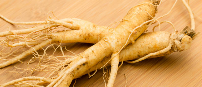 Le ginseng : une plante aux multiples vertus