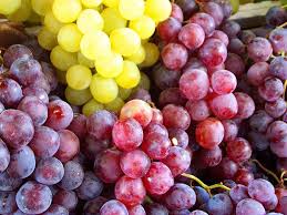 Les raisins: ces petits fruits aux multiples bienfaits