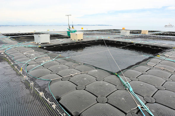 Pêche : Le Premier ministre annonce 14 fermes aquacoles pour la région de Fatick