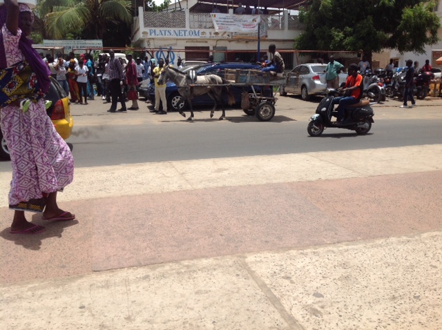 Les Charrettes prennent d’assaut les boulevards de la Capitale - Par Amadou F. Canar Diop