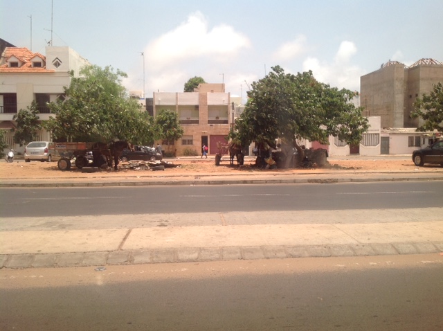 Les Charrettes prennent d’assaut les boulevards de la Capitale - Par Amadou F. Canar Diop