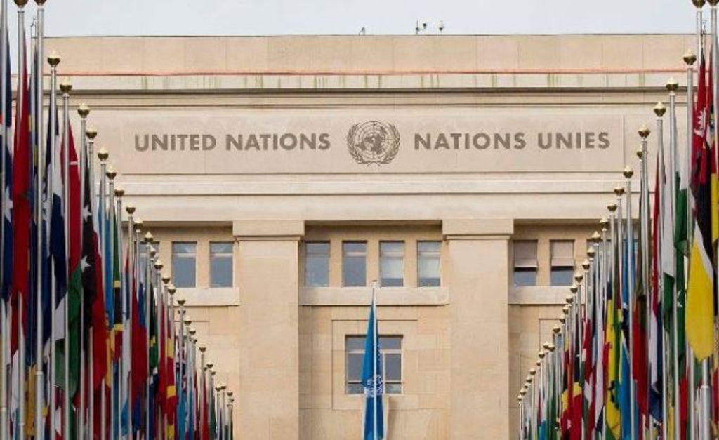 Un stagiaire de l'ONU  diplomé en sciences politiques et sdf