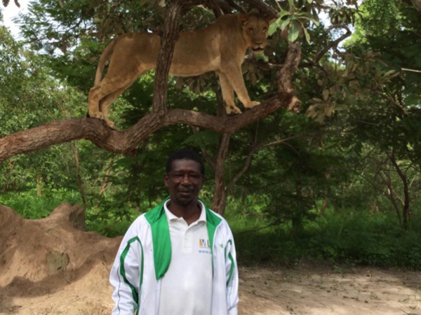 Le ministre Mary Teuw Niane se promène avec des lions