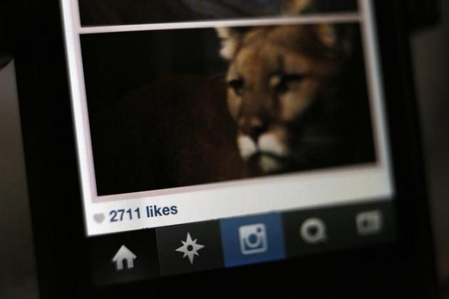 Instagram s'ouvre à de nouveaux formats d'images