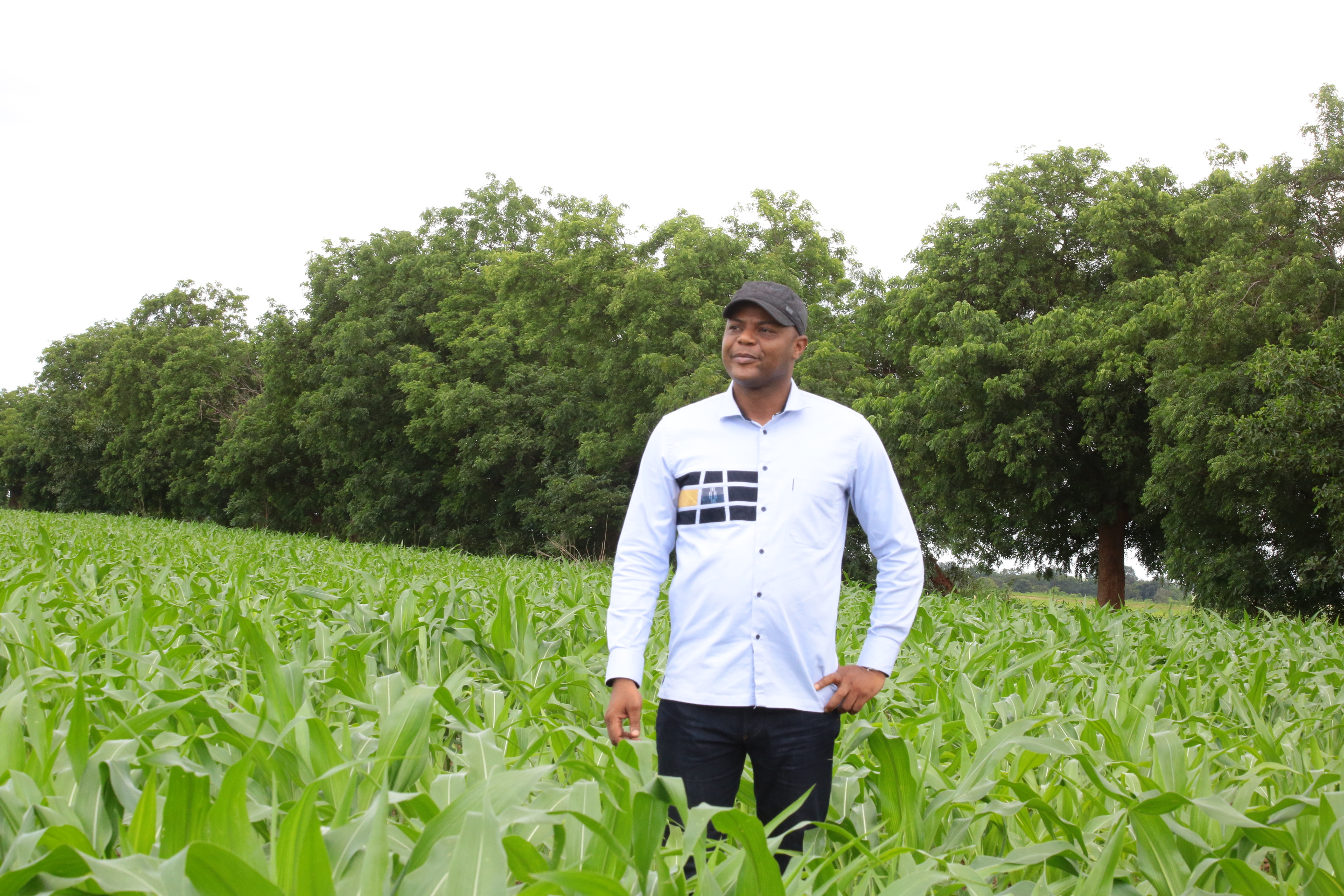 Sédhiou-Le domaine agricole communautaire de Séfa en chiffres : 2096 hectares emblavés, 4.000 emplois directs créés…