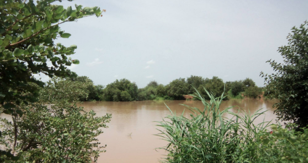 Pluies diluviennes dans le Nord du Pays : Des rizières de Maka Diama, Ronck, Rosso Sénégal et Richard Toll sous l’emprise des eaux