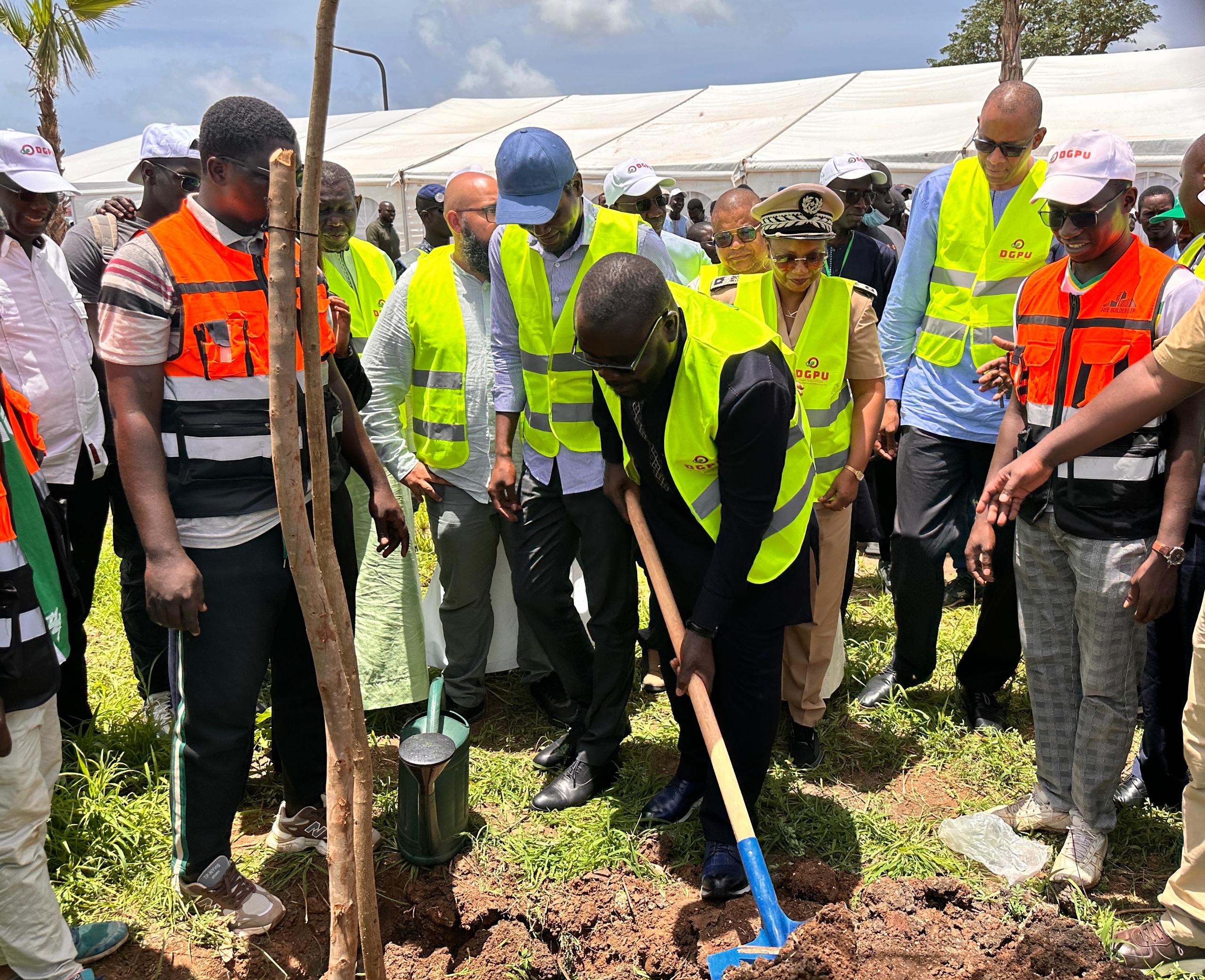 Photos/ Journée de verdissement de la DGPU : Plus de 3000 arbres plantés pour rendre le Pôle vert et durable