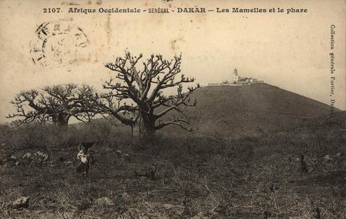 Carte postale : Le Phare des Mamelles