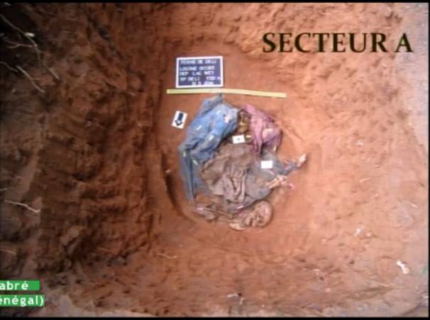 Ferme de Déli au Tchad : Des restes humains découverts dans des latrines, selon l’experte Claudia Bisso