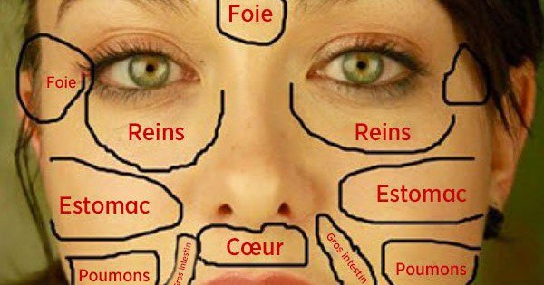 Vos problèmes de peaux sont des signaux de vos organes vitaux ! Découvrez lesquels...