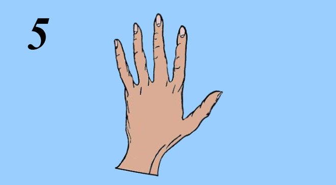 Voilà ce que la forme de vos mains et de vos doigts révèlent sur votre personnalité...