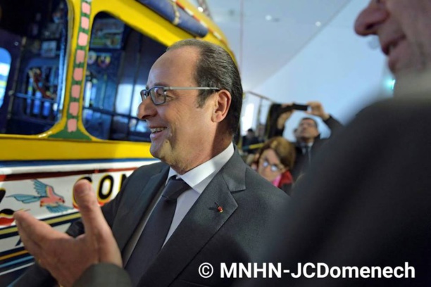Nouveau Musée de l'Homme de Paris: Hollande émerveillé par le car rapide dakarois