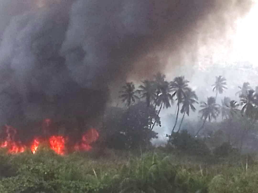 Urgence signalée - Alerte danger : Un important feu de brousse fait des ravages derrière la Cité Fadia Guentaba