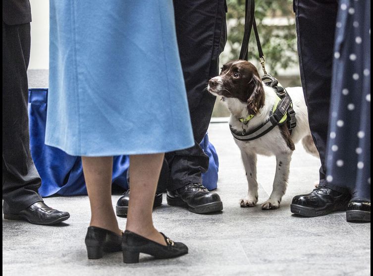 Photos - Le sac à main d’Eli­za­beth II contrôlé par un chien des douanes lors d’une visite offi­cielle