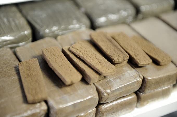 Trafic de chanvre indien : Deux dealers tombent avec 100 kilos