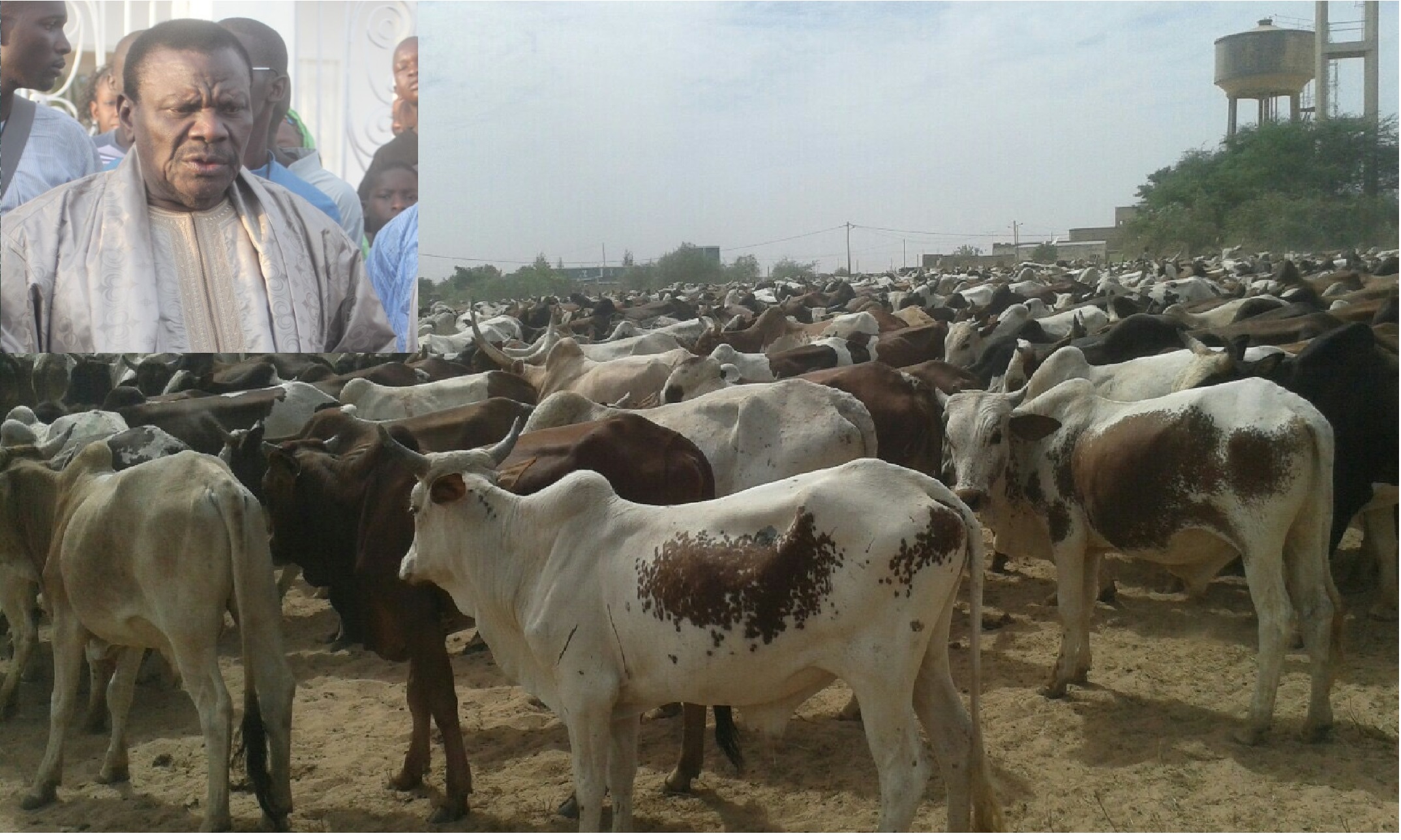 Photos - Magal de Touba 2015 : Cheikh Béthio Thioune étale toute sa puissance